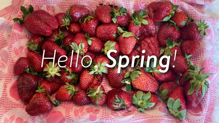 Hello, Spring!